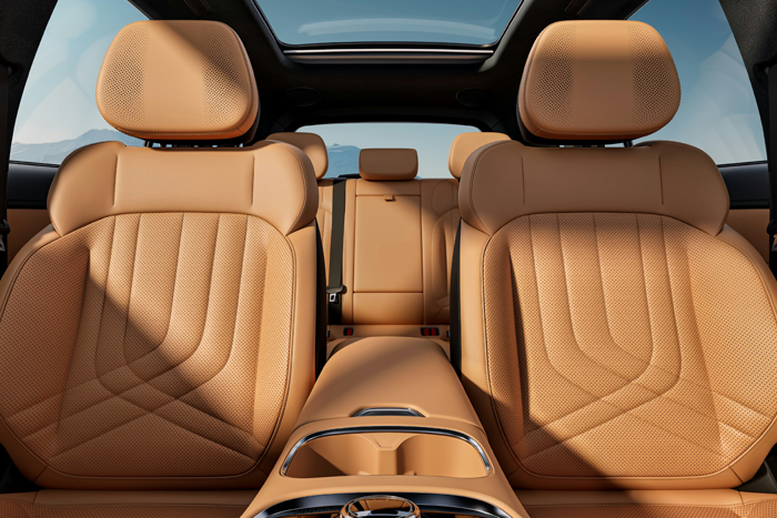 Geely STARRAY EM-i Geely STARRAY EM-i
